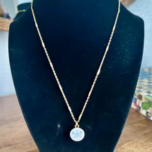 Load image into Gallery viewer, Painted Butterfly Coin Charm Necklace
